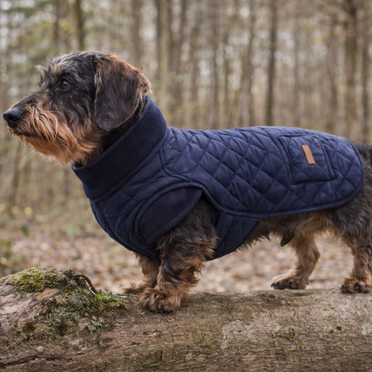 Dackel-Steppjacke "Dachshund-Pro" – Extra lang & Winddicht