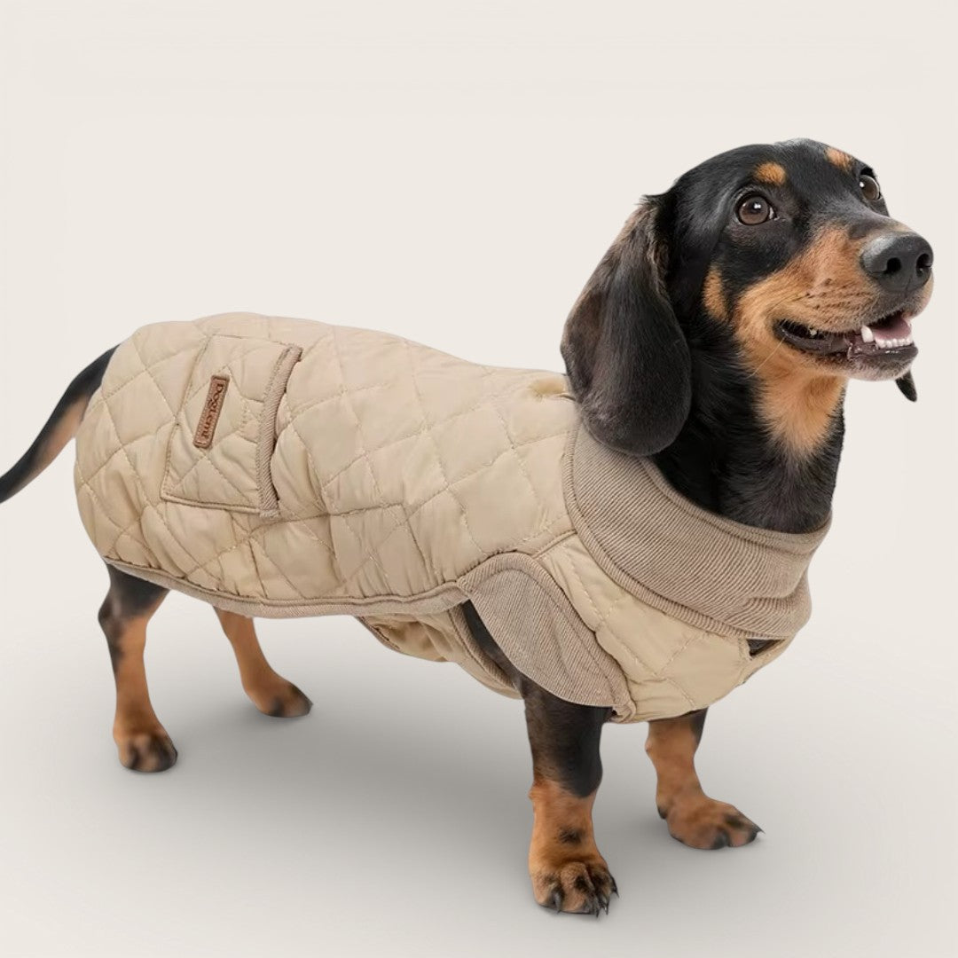 Der Wintermantel, den Dackel wirklich brauchen. Extra Rückenlänge – warm, passgenau & rutschfest