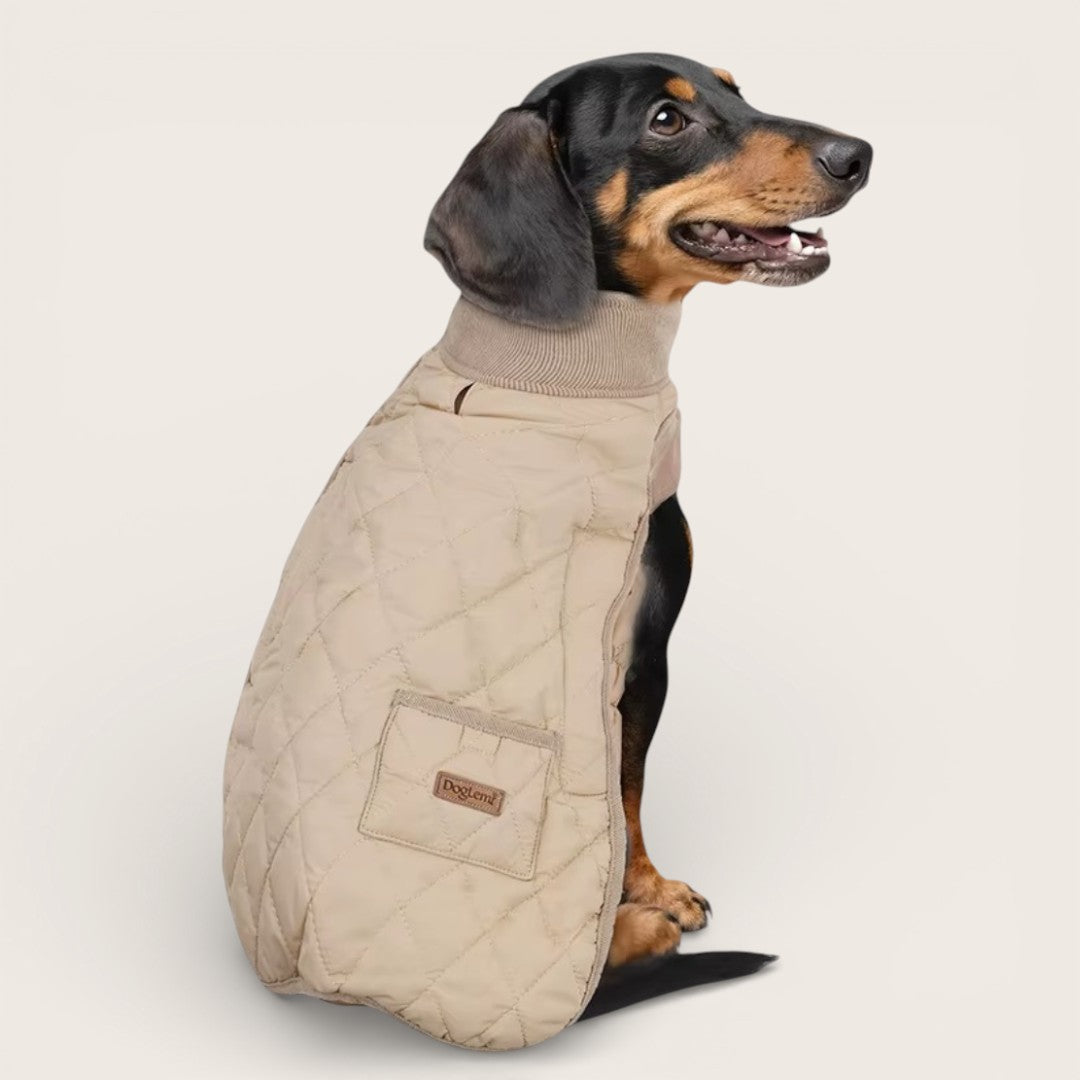 Der Wintermantel, den Dackel wirklich brauchen. Extra Rückenlänge – warm, passgenau & rutschfest