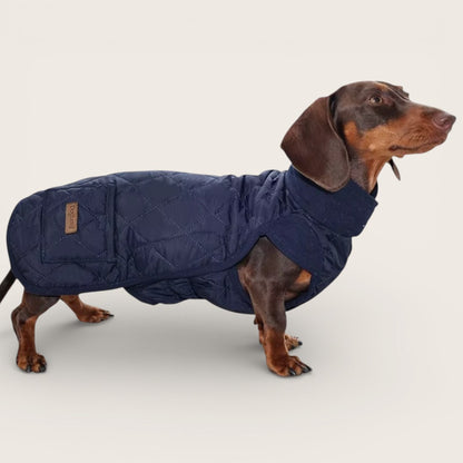 Der Wintermantel, den Dackel wirklich brauchen. Extra Rückenlänge – warm, passgenau & rutschfest