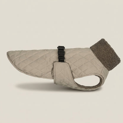 Dackelmantel Teddy Fleece