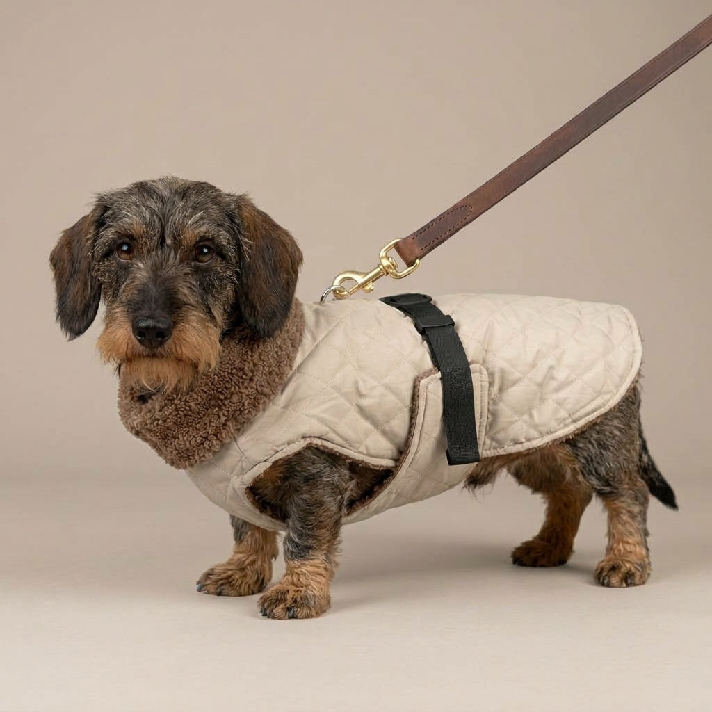 Dackelmantel Teddy Fleece