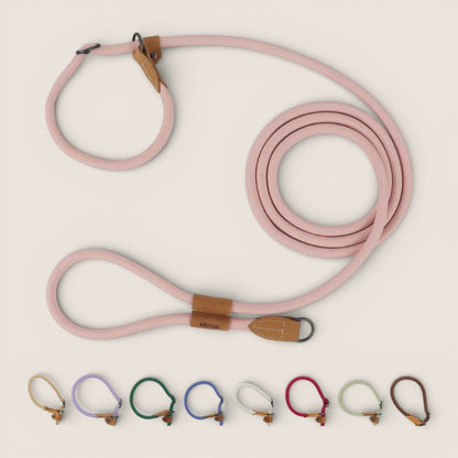 Retrieverleine - Hundeleine mit integriertem Halsband