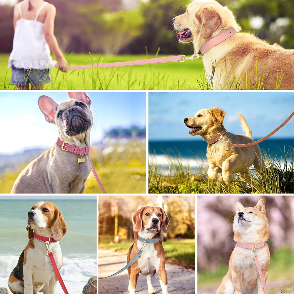 Veganes Premium-Kunstleder-Hundehalsband mit Leine