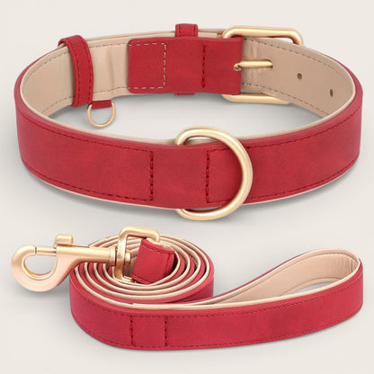 Veganes Premium-Kunstleder-Hundehalsband mit Leine