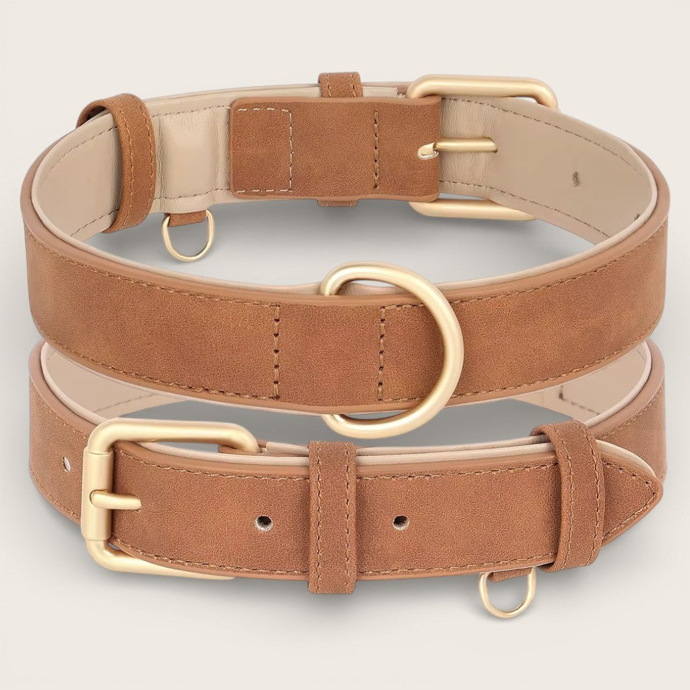 Veganes Premium-Kunstleder-Hundehalsband mit Leine