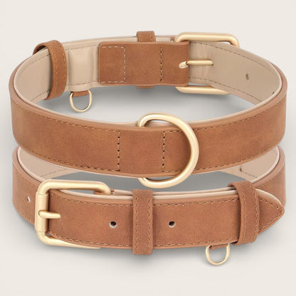 Veganes Premium-Kunstleder-Hundehalsband mit Leine