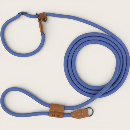 Retrieverleine - Hundeleine mit integriertem Halsband