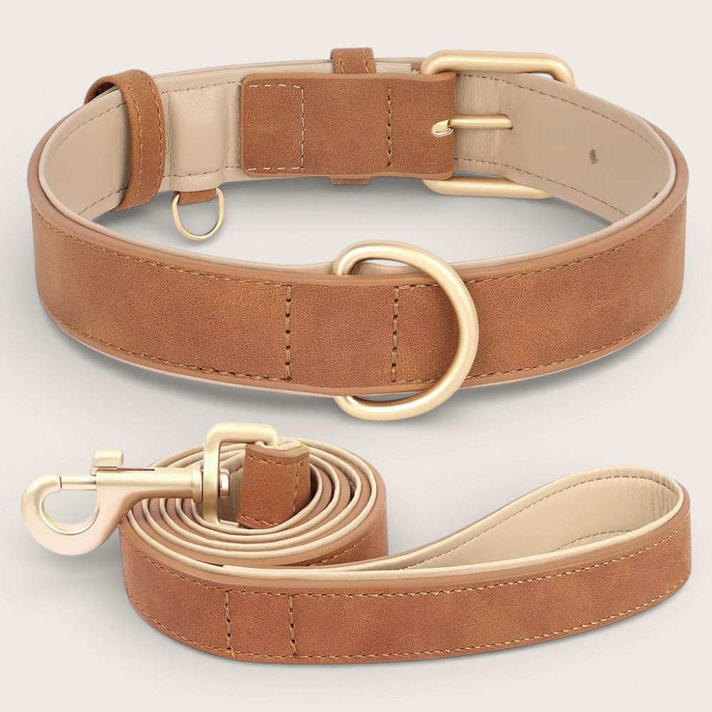 Veganes Premium-Kunstleder-Hundehalsband mit Leine