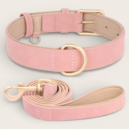Veganes Premium-Kunstleder-Hundehalsband mit Leine