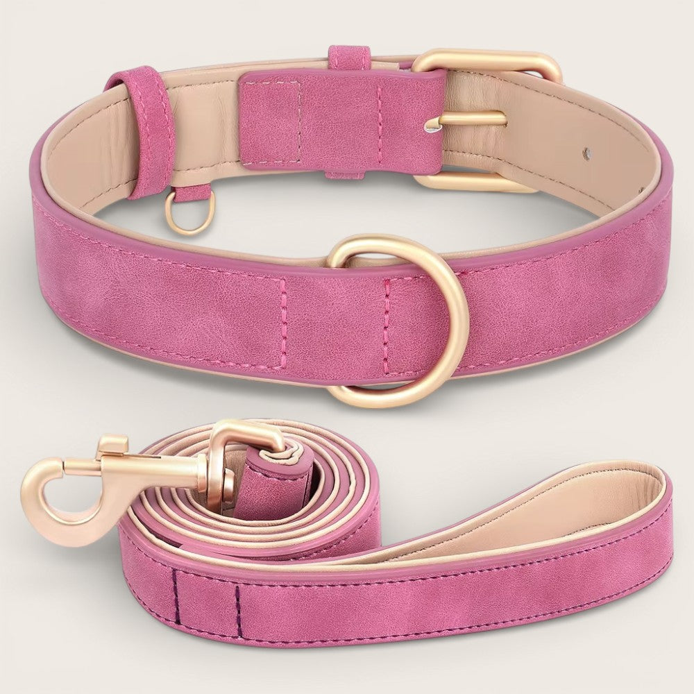 Veganes Premium-Kunstleder-Hundehalsband mit Leine