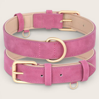 Veganes Premium-Kunstleder-Hundehalsband mit Leine