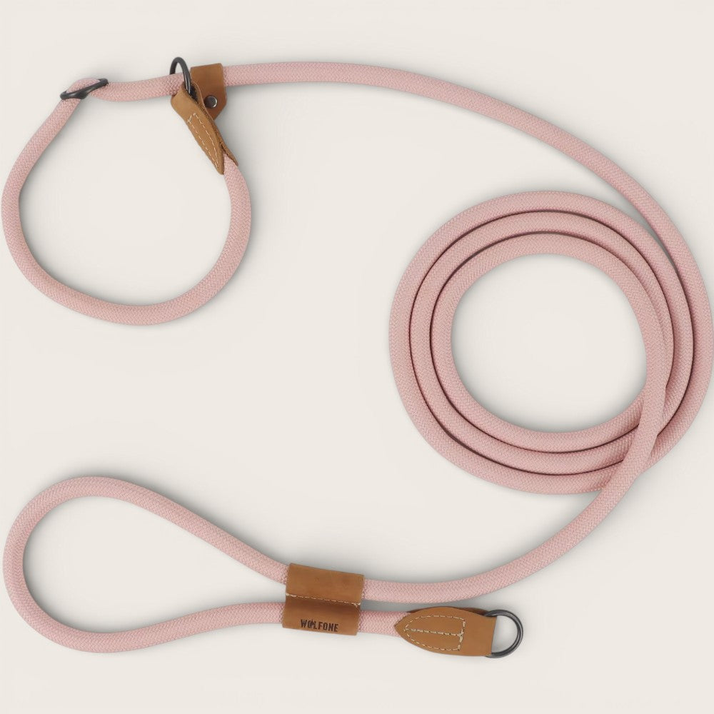 Retrieverleine - Hundeleine mit integriertem Halsband