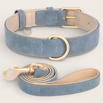 Veganes Premium-Kunstleder-Hundehalsband mit Leine