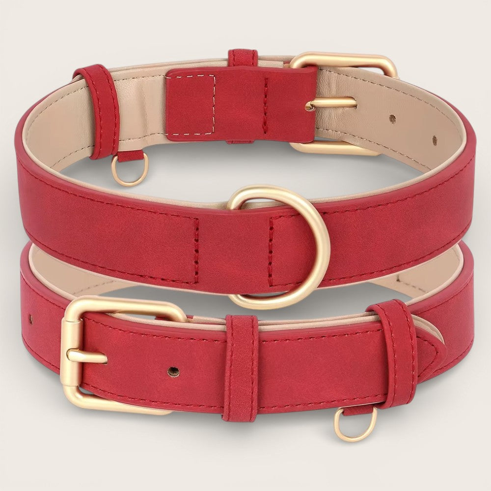 Veganes Premium-Kunstleder-Hundehalsband mit Leine