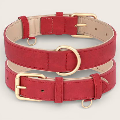Veganes Premium-Kunstleder-Hundehalsband mit Leine