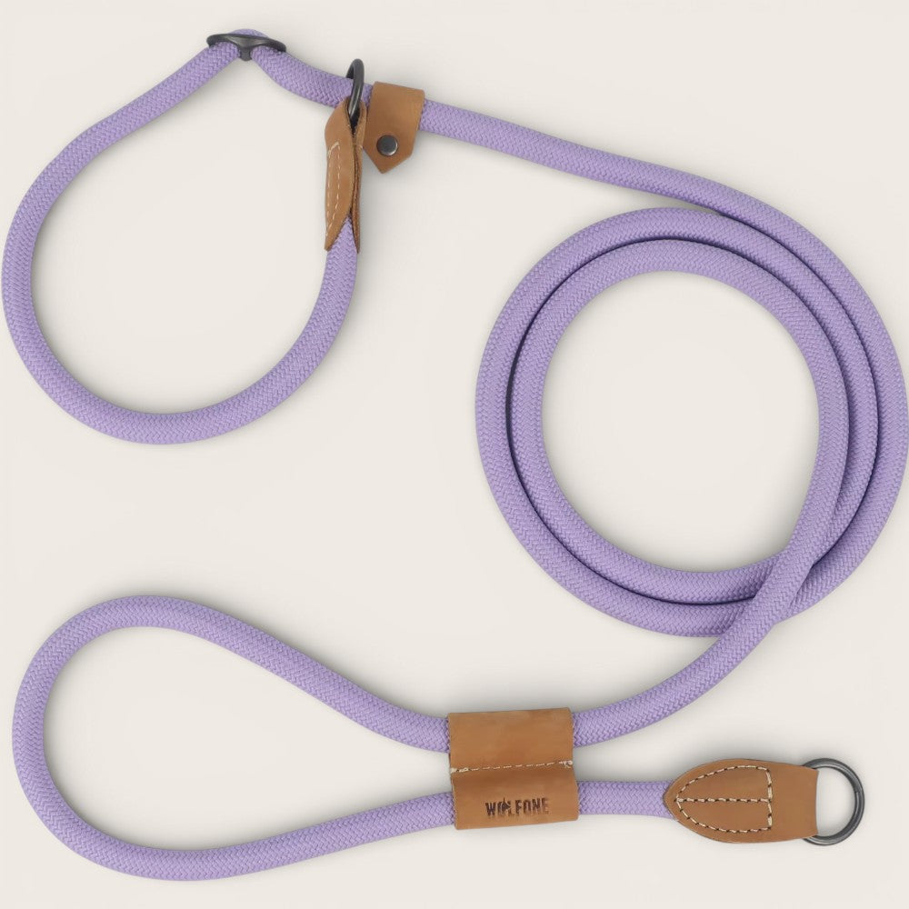 Retrieverleine - Hundeleine mit integriertem Halsband