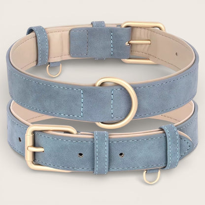 Veganes Premium-Kunstleder-Hundehalsband mit Leine