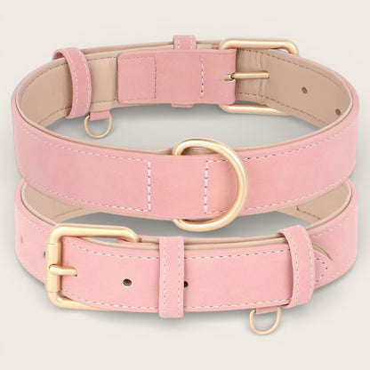 Veganes Premium-Kunstleder-Hundehalsband mit Leine