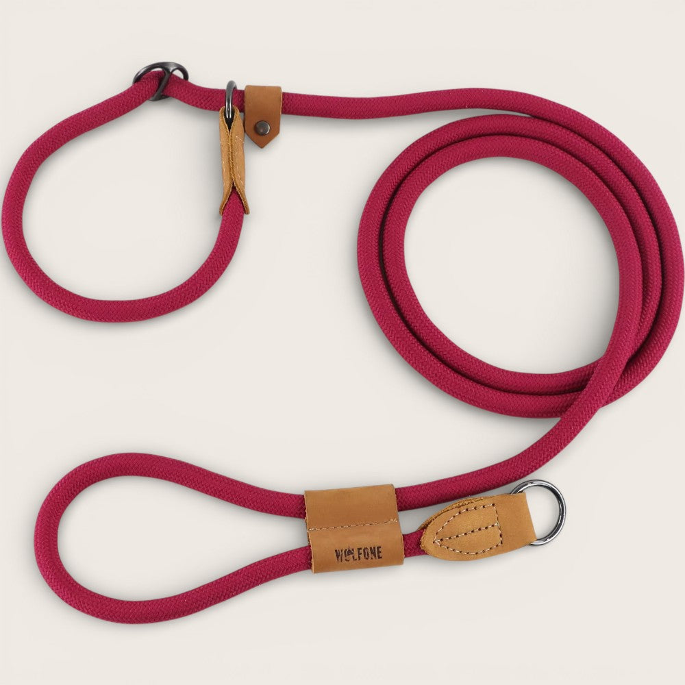 Retrieverleine - Hundeleine mit integriertem Halsband