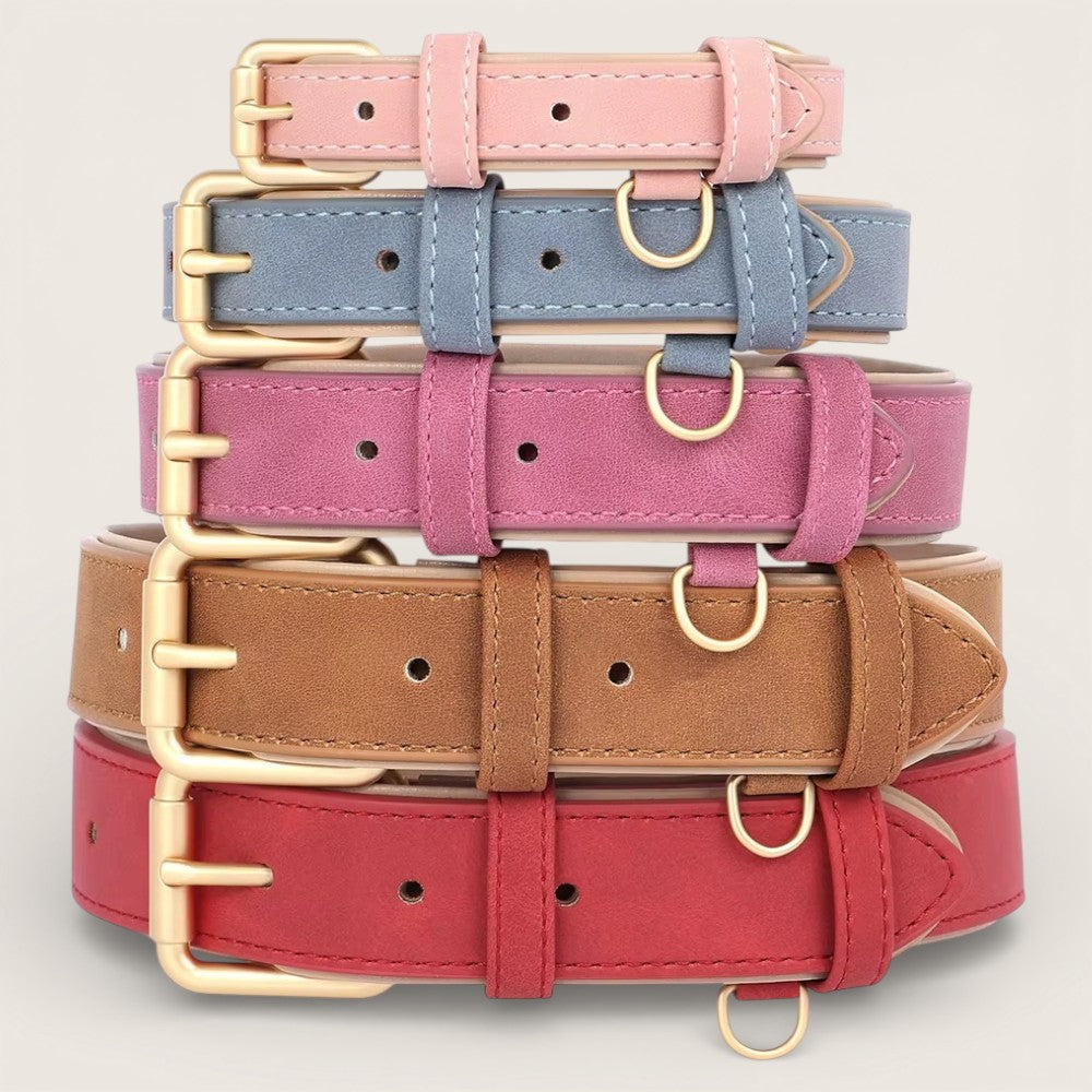 Veganes Premium-Kunstleder-Hundehalsband mit Leine