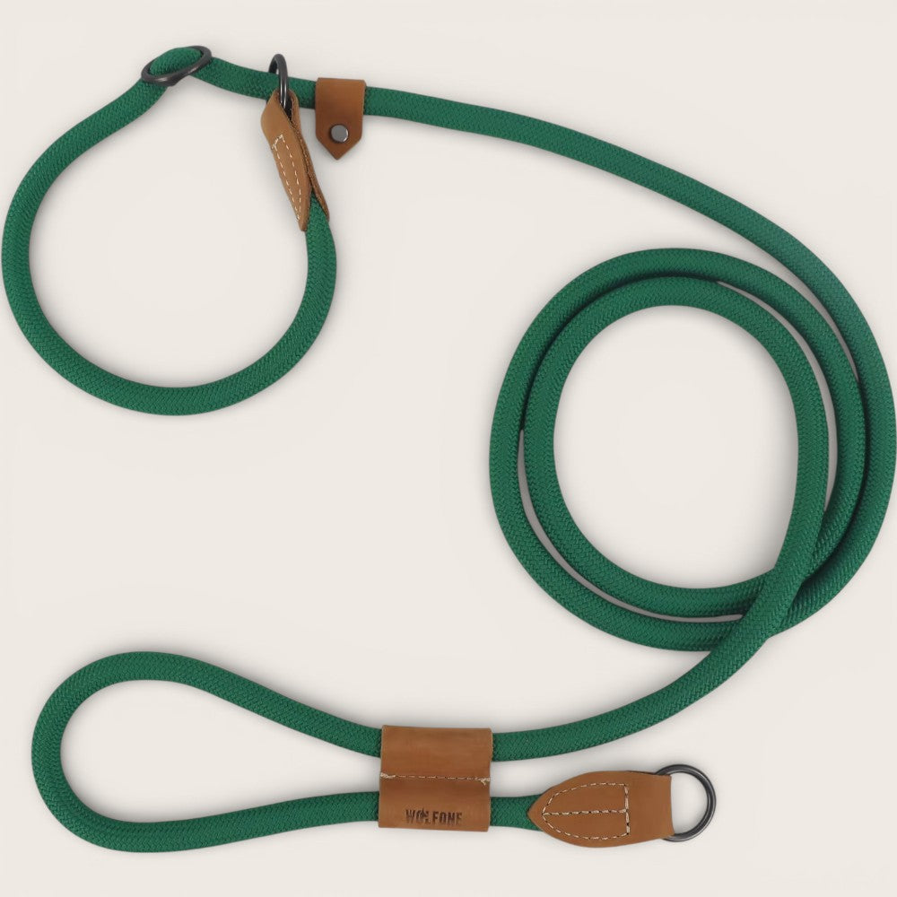 Retrieverleine - Hundeleine mit integriertem Halsband