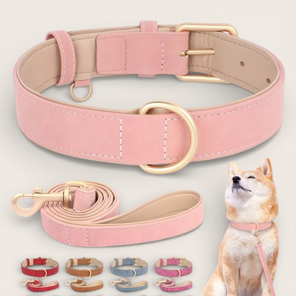 Veganes Premium-Kunstleder-Hundehalsband mit Leine