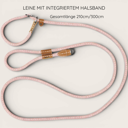 Retrieverleine - Hundeleine mit integriertem Halsband