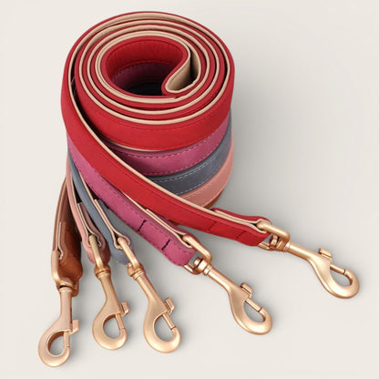 Veganes Premium-Kunstleder-Hundehalsband mit Leine