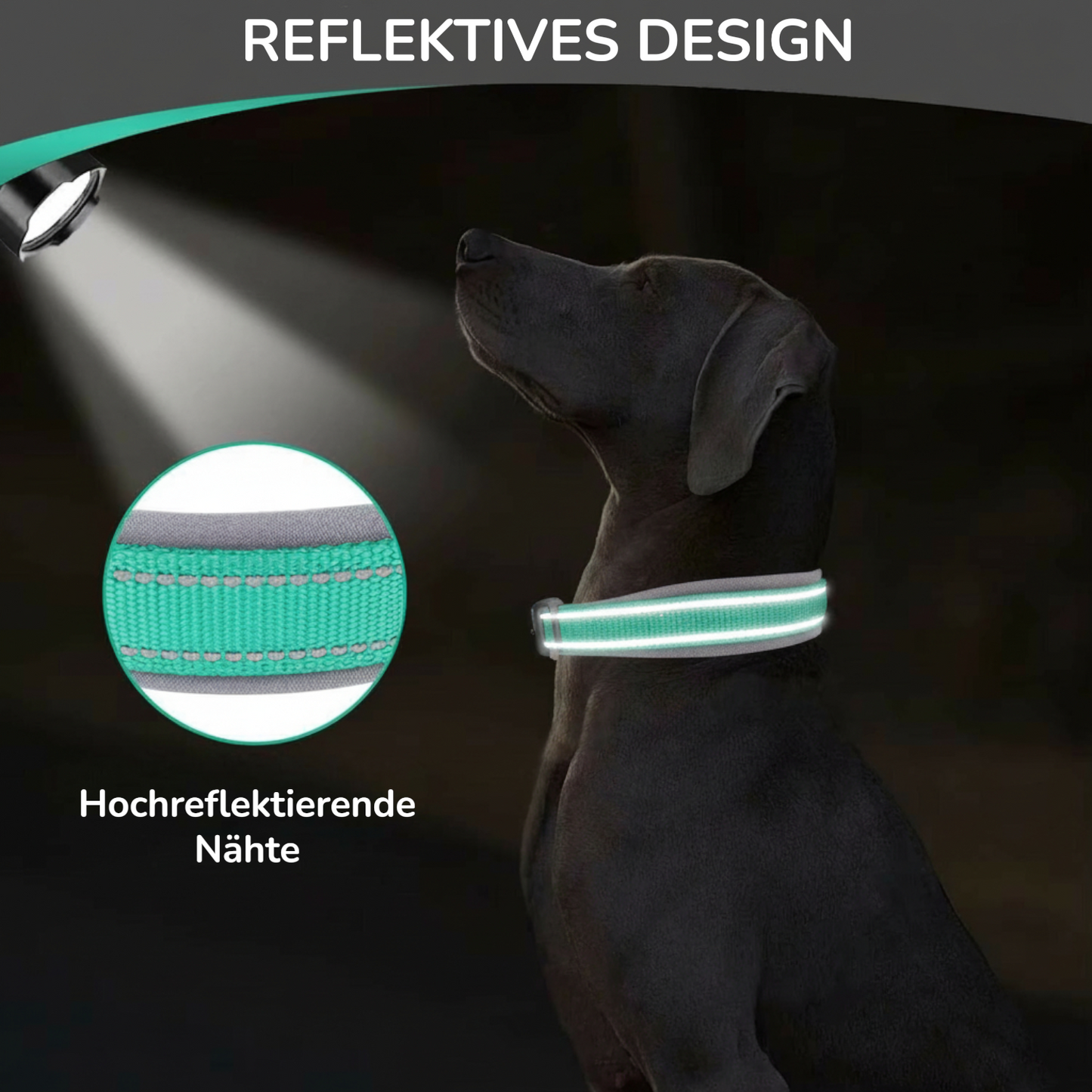 Komfort-Hundehalsband mit Polsterung & Reflektoren