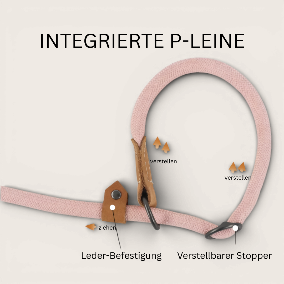 Retrieverleine - Hundeleine mit integriertem Halsband