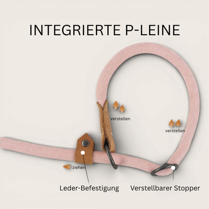 Retrieverleine - Hundeleine mit integriertem Halsband